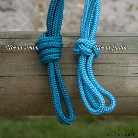 licol éthologique personnalisable - modèle Popy