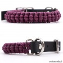 Collier chien en corde