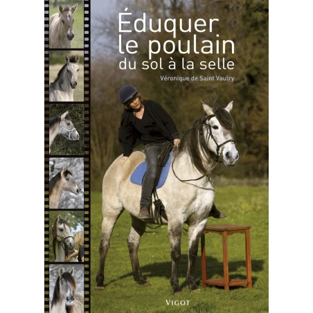 Eduquer le poulain du sol à la selle