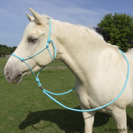 Licol éthologique cheval avec longe/perles indiennes - Cashel - CASHEL -  Licols éthologiques - Equestra