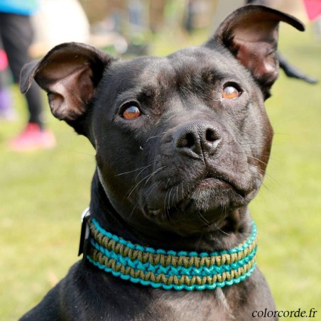 Collier pour chien personnalisable Zig-Zag