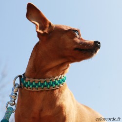 Collier pour chien...