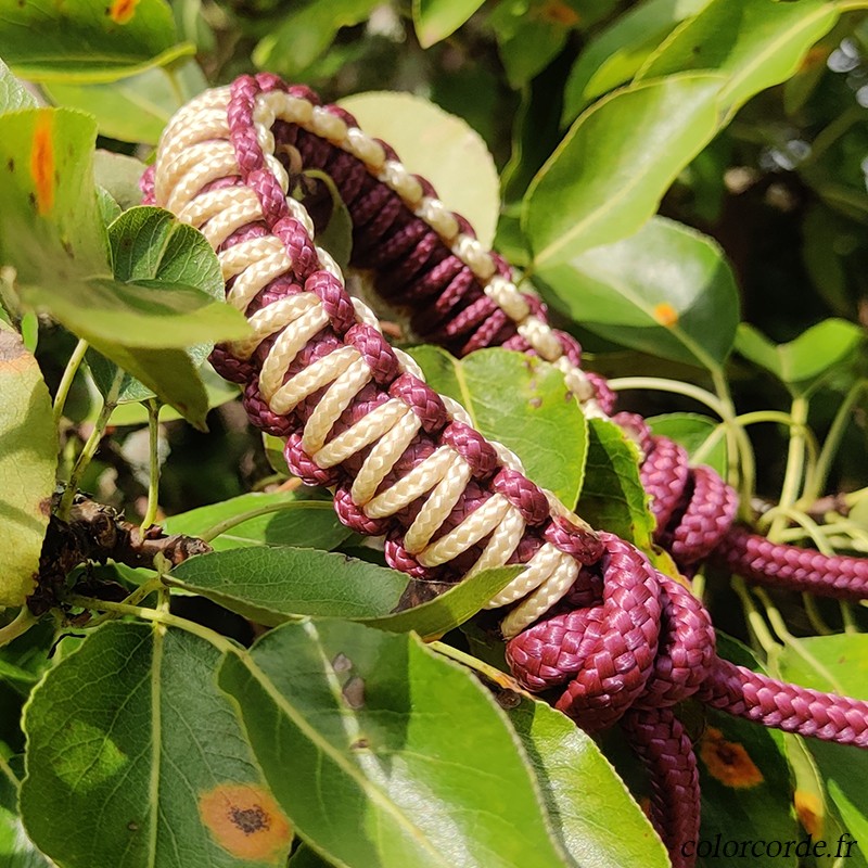 Licol éthologique Aubergine - taille poney