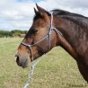 Licol corde taille Poney