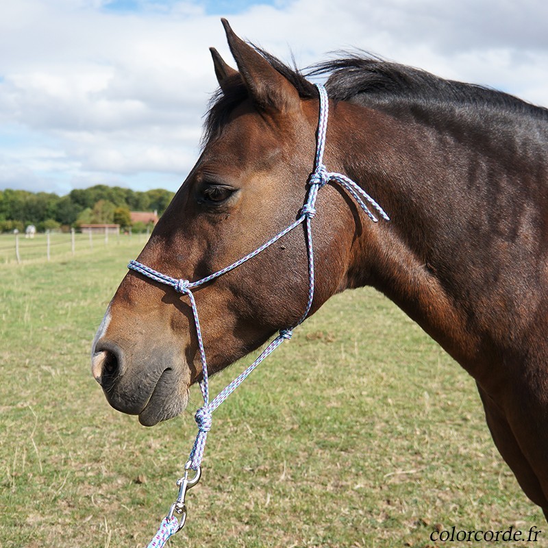 Déstockage licol éthologique taille cheval
