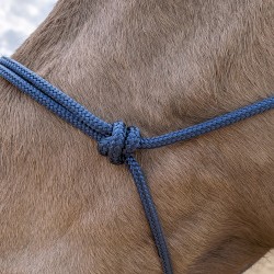 Licol éthologique Polyester